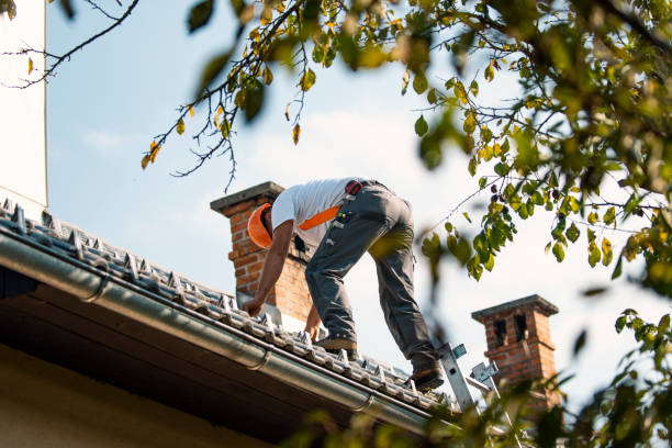 Best Sheet Metal Roofing  in Laporte, CO