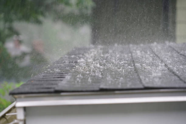 Best Solar Panel Roofing Installation  in Laporte, CO