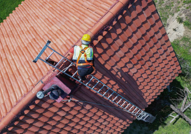 Best Green or Eco-Friendly Roofing Solutions  in Laporte, CO
