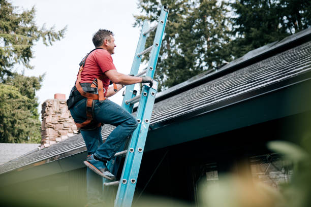 Best Roof Coating and Sealing  in Laporte, CO