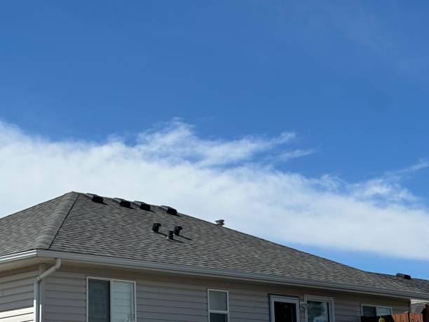 Best Gutter Installation and Repair  in Laporte, CO